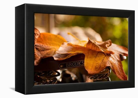 Leaves on Saddle-Philippe Sainte-Laudy-Framed Premier Image Canvas