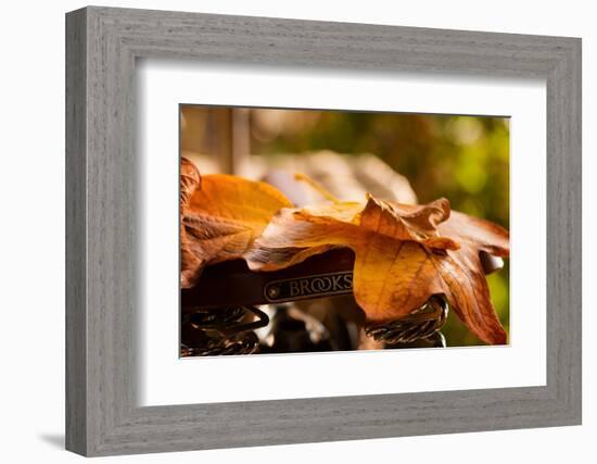 Leaves on Saddle-Philippe Sainte-Laudy-Framed Photographic Print