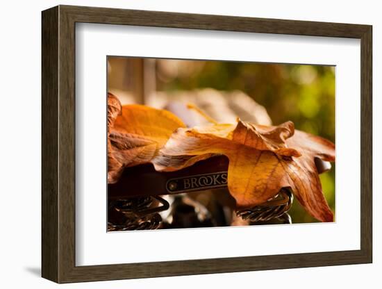 Leaves on Saddle-Philippe Sainte-Laudy-Framed Photographic Print