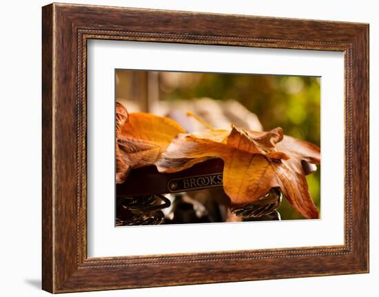 Leaves on Saddle-Philippe Sainte-Laudy-Framed Photographic Print