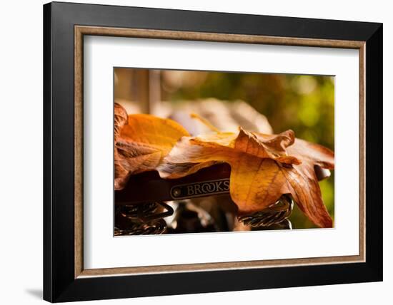 Leaves on Saddle-Philippe Sainte-Laudy-Framed Photographic Print