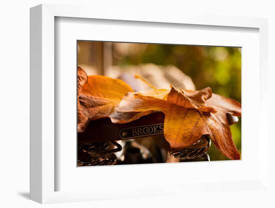 Leaves on Saddle-Philippe Sainte-Laudy-Framed Photographic Print