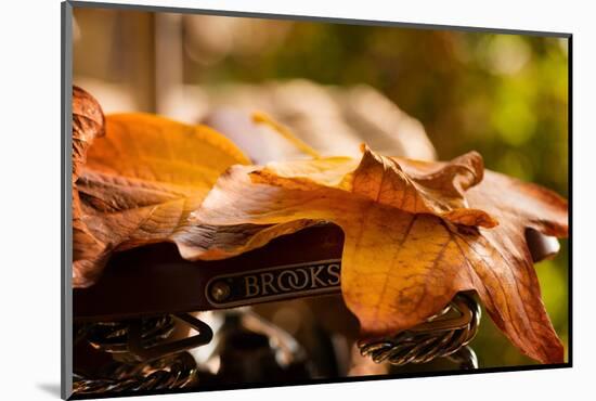 Leaves on Saddle-Philippe Sainte-Laudy-Mounted Photographic Print