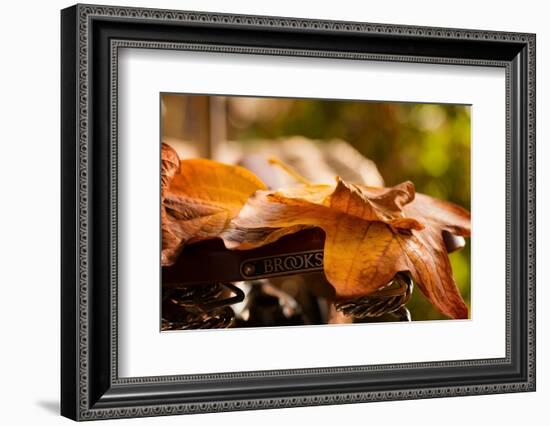 Leaves on Saddle-Philippe Sainte-Laudy-Framed Photographic Print