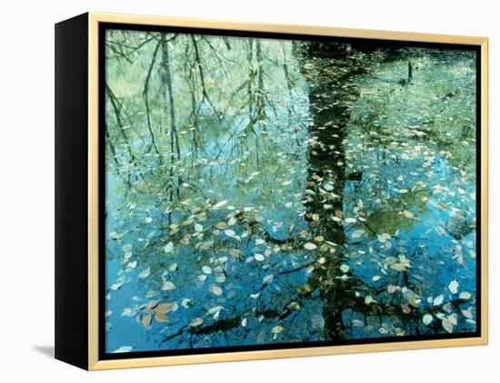 Leaves on the Water-null-Framed Premier Image Canvas