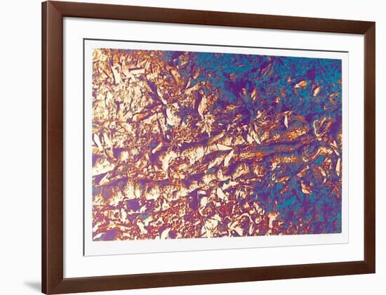 Leaves-Max Epstein-Framed Limited Edition