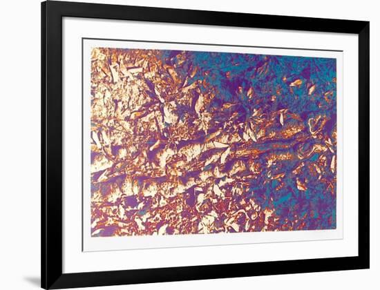 Leaves-Max Epstein-Framed Limited Edition