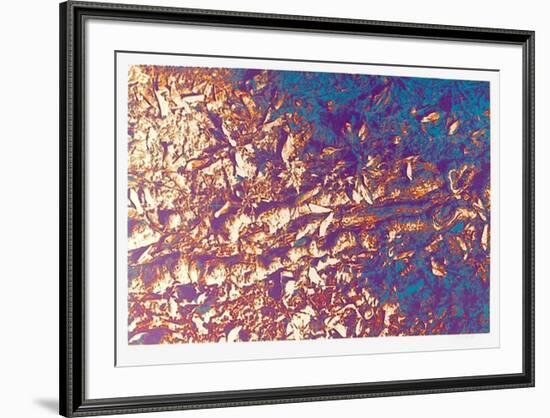 Leaves-Max Epstein-Framed Limited Edition
