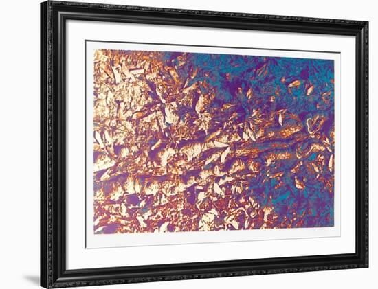 Leaves-Max Epstein-Framed Limited Edition