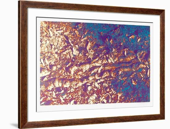 Leaves-Max Epstein-Framed Limited Edition
