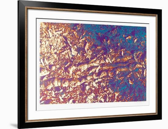 Leaves-Max Epstein-Framed Limited Edition