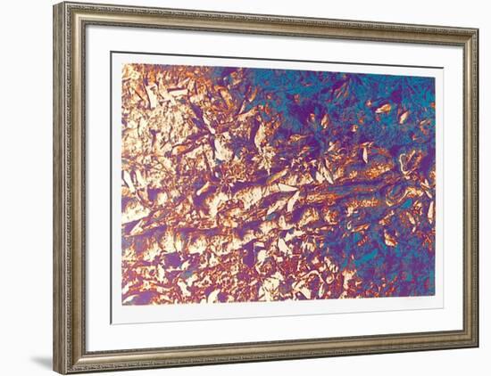 Leaves-Max Epstein-Framed Limited Edition