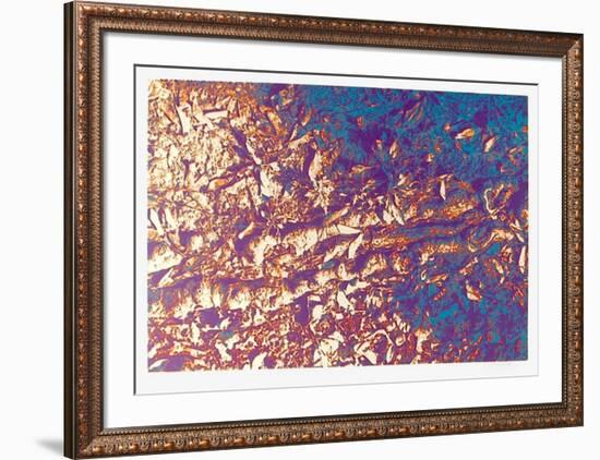 Leaves-Max Epstein-Framed Limited Edition