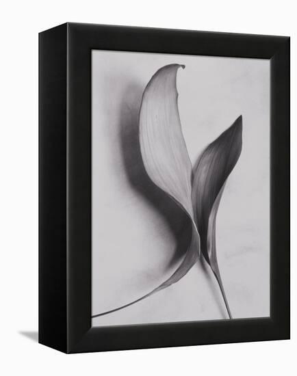 Leaves-Graeme Harris-Framed Premier Image Canvas