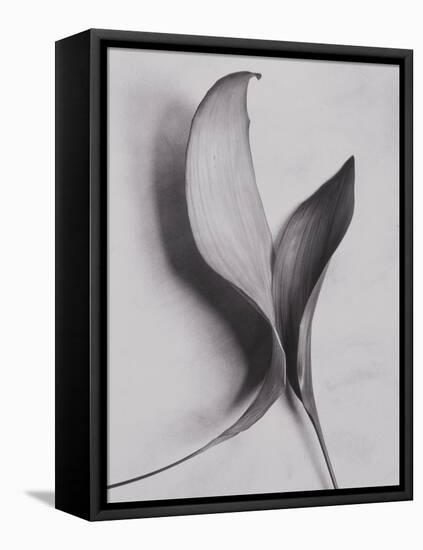 Leaves-Graeme Harris-Framed Premier Image Canvas