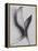 Leaves-Graeme Harris-Framed Premier Image Canvas