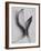 Leaves-Graeme Harris-Framed Photographic Print