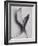 Leaves-Graeme Harris-Framed Photographic Print