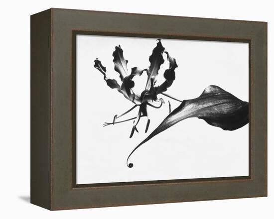 Leaves-Panoramic Images-Framed Premier Image Canvas
