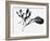 Leaves-Panoramic Images-Framed Photographic Print