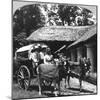 Leaving the Dak Bungalow for a 'Bile-Gharry, Belgaum District, Southern India, 1900s-null-Mounted Giclee Print