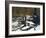 Leaving the Shore-Bruce Dumas-Framed Giclee Print