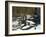 Leaving the Shore-Bruce Dumas-Framed Giclee Print