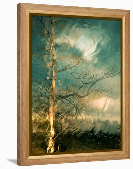 Leaving-Ursula Abresch-Framed Premier Image Canvas