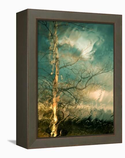 Leaving-Ursula Abresch-Framed Premier Image Canvas