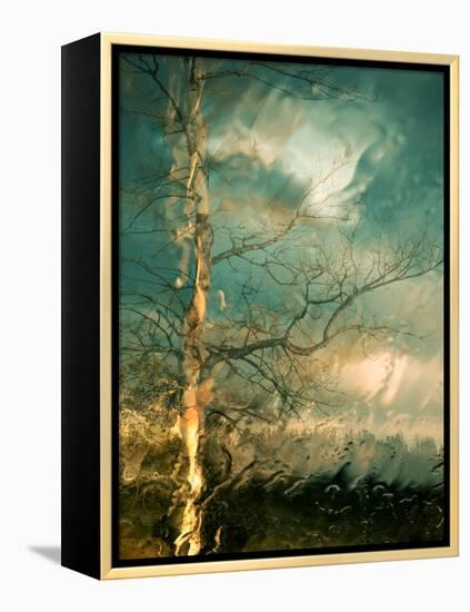 Leaving-Ursula Abresch-Framed Premier Image Canvas