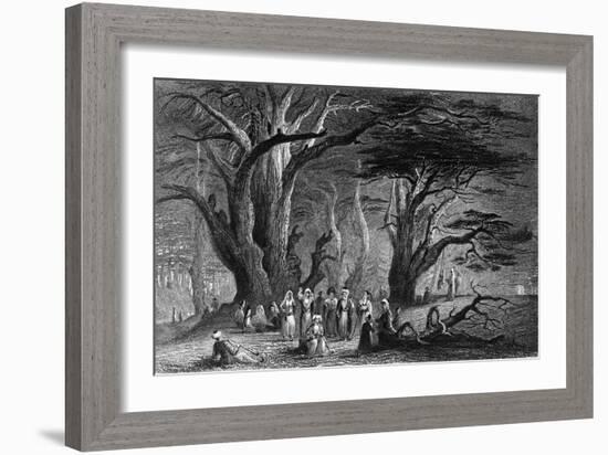 Lebanon Cedars-WH Bartlett-Framed Premium Giclee Print