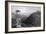 Lebanon Eden-WH Bartlett-Framed Premium Giclee Print