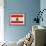 Lebanon Flag Design with Wood Patterning - Flags of the World Series-Philippe Hugonnard-Framed Premium Giclee Print displayed on a wall