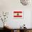 Lebanon Flag Design with Wood Patterning - Flags of the World Series-Philippe Hugonnard-Framed Premium Giclee Print displayed on a wall