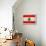 Lebanon Flag Design with Wood Patterning - Flags of the World Series-Philippe Hugonnard-Framed Stretched Canvas displayed on a wall