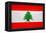 Lebanon Flag Design with Wood Patterning - Flags of the World Series-Philippe Hugonnard-Framed Stretched Canvas