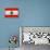 Lebanon Flag Design with Wood Patterning - Flags of the World Series-Philippe Hugonnard-Framed Stretched Canvas displayed on a wall