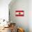 Lebanon Flag Design with Wood Patterning - Flags of the World Series-Philippe Hugonnard-Framed Stretched Canvas displayed on a wall