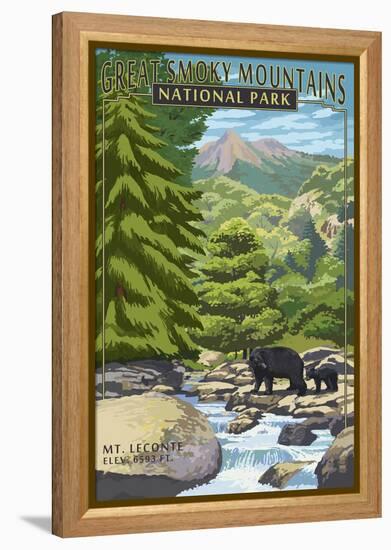 Leconte Creek and Mt. Leconte - Great Smoky Mountains National Park, TN-Lantern Press-Framed Stretched Canvas