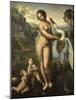 Leda and Swan-Leonardo da Vinci-Mounted Giclee Print