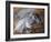 Leda and Swan-Giovanni Boldini-Framed Giclee Print