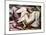 Leda and the Swan-Michelangelo Buonarroti-Mounted Giclee Print