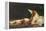 Leda and the Swan-Paul Prosper Tillier-Framed Premier Image Canvas