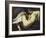 Leda and the Swan-Peter Paul Rubens-Framed Giclee Print