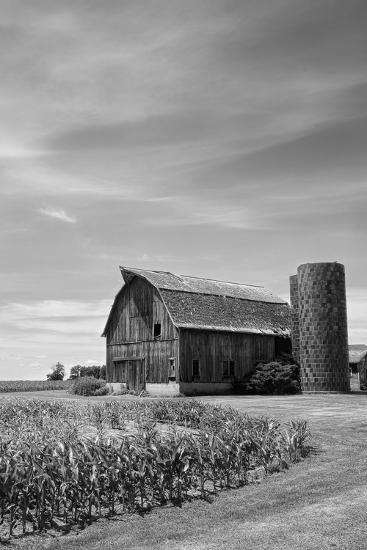 Photographic Print, , large