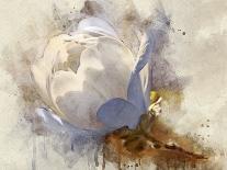 The Flower Dance XIV-Leda Robertson-Framed Art Print