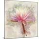Premium Photographic Print