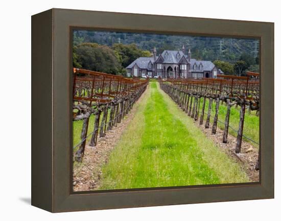 Ledson Winery, Sonoma Valley, California, USA-Julie Eggers-Framed Premier Image Canvas