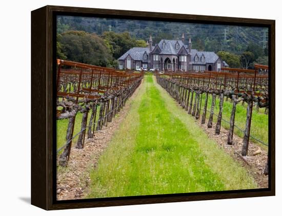 Ledson Winery, Sonoma Valley, California, USA-Julie Eggers-Framed Premier Image Canvas