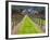 Ledson Winery, Sonoma Valley, California, USA-Julie Eggers-Framed Photographic Print